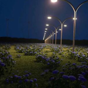 樱井莉亚群交在线观看
