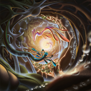 樱井莉亚群交在线观看
